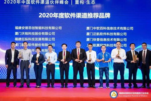 福建省信息技術咨詢服務行業協會會長陳維芳新春賀詞 信息技術咨詢服務助力國家發展