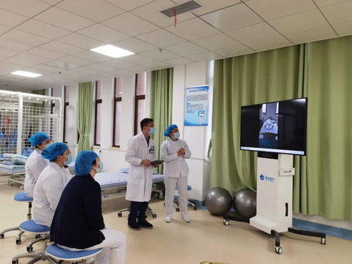 康復需要技術，更需要服務——黃裕桂談香務協作與信息技術咨詢服務的融合